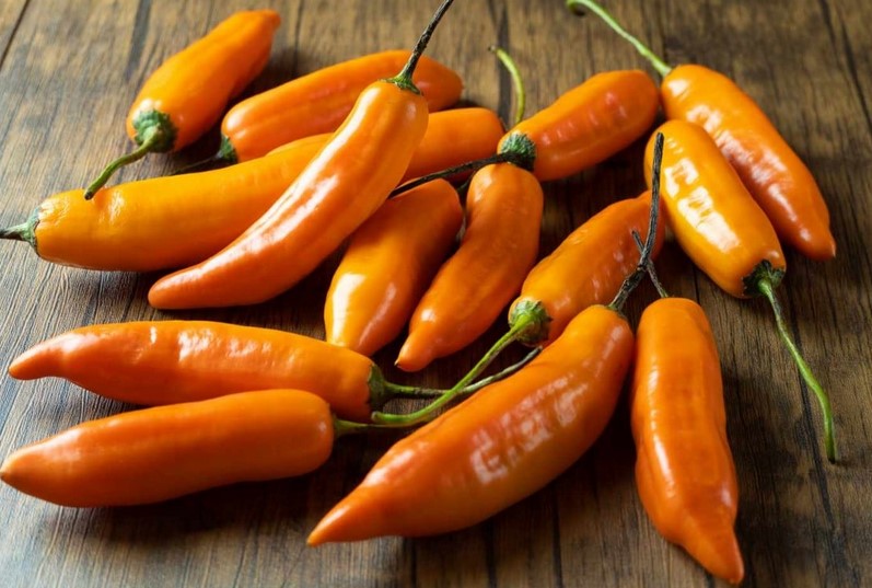 Aji jaune